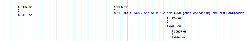 tRNAs detail