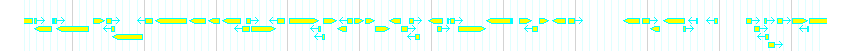 Genes detail
