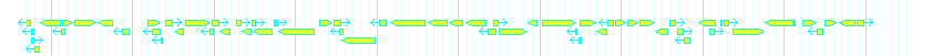 Genes detail