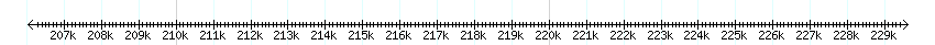 __scale__ detail
