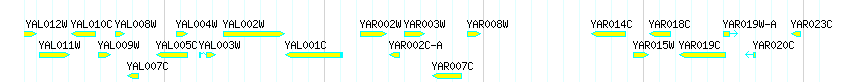 Genes detail