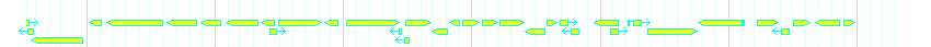 Genes detail