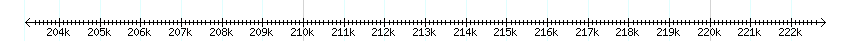 __scale__ detail