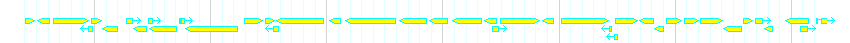 Genes detail