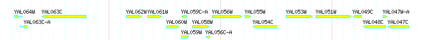Genes detail