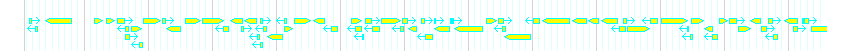 Genes detail