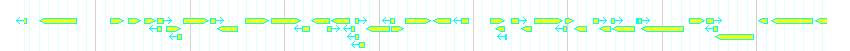 Genes detail