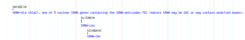 tRNAs detail