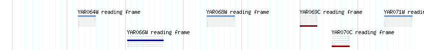 CDS detail