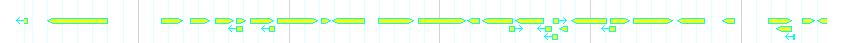 Genes detail