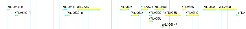 Genes detail