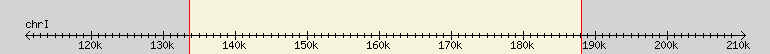 __scale__ region