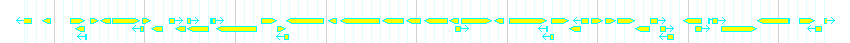 Genes detail