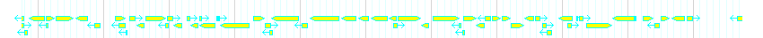 Genes detail
