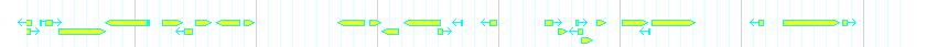 Genes detail