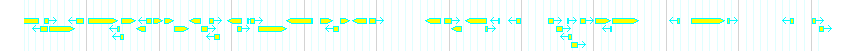 Genes detail