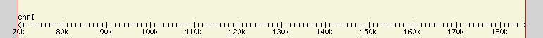 __scale__ region