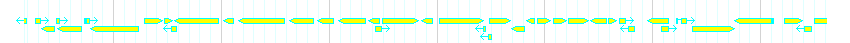 Genes detail