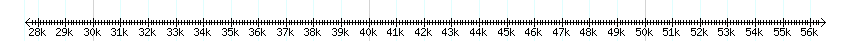 __scale__ detail