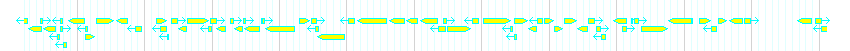 Genes detail