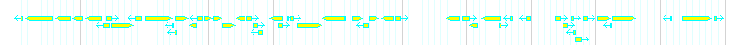 Genes detail