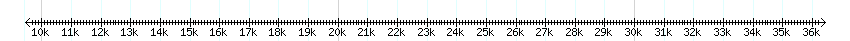 __scale__ detail