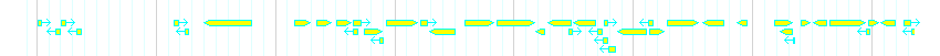 Genes detail