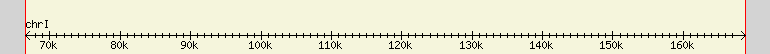 __scale__ region