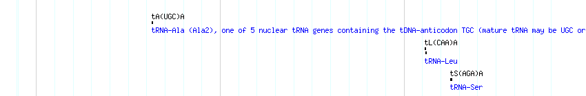 tRNAs detail