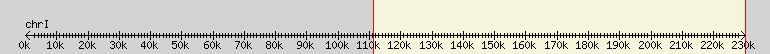 __scale__ overview