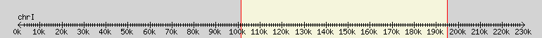 __scale__ overview