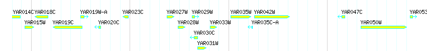 Genes detail