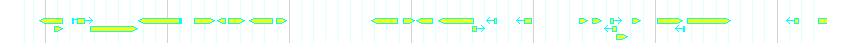 Genes detail