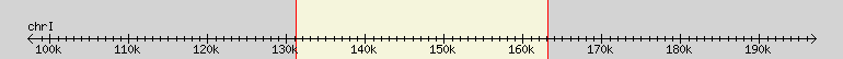 __scale__ region