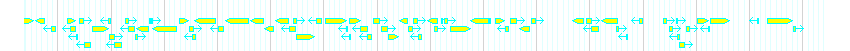 Genes detail