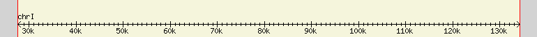 __scale__ region