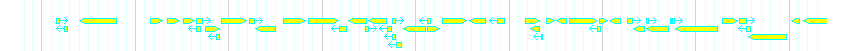Genes detail