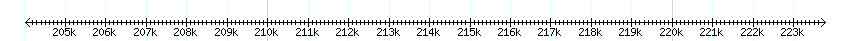 __scale__ detail