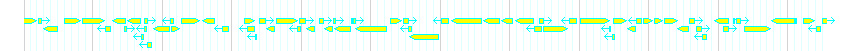 Genes detail