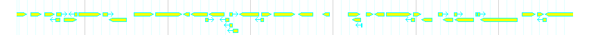 Genes detail