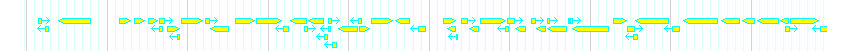 Genes detail