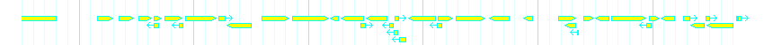 Genes detail