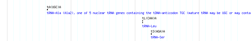 tRNAs detail