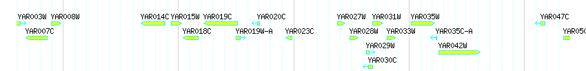Genes detail