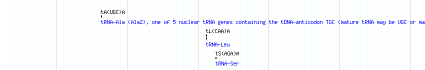 tRNAs detail