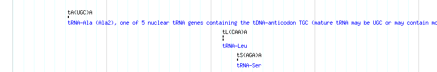 tRNAs detail