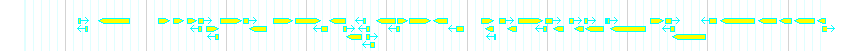 Genes detail