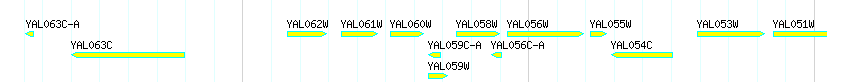 Genes detail