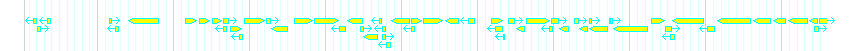Genes detail