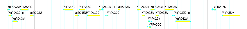 Genes detail